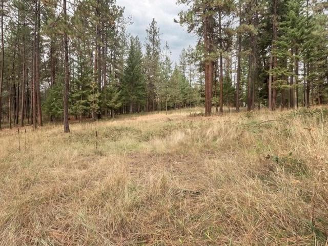 Land for sale in Moyie Springs, Boundary County