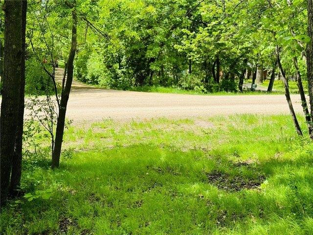 Land for sale in Battle Lake, Minnesota