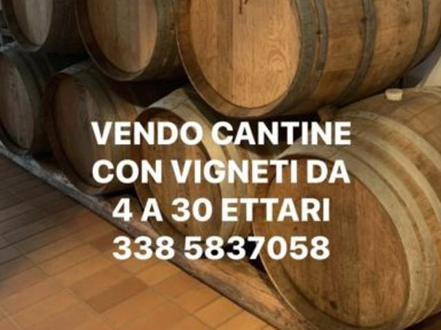 Terreno in vendita a Ormelle, Treviso