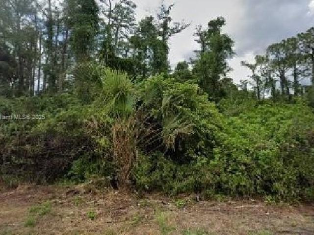 Land for sale in Alva, Lehigh Acres Land for sale in Alva, Lehigh Acres