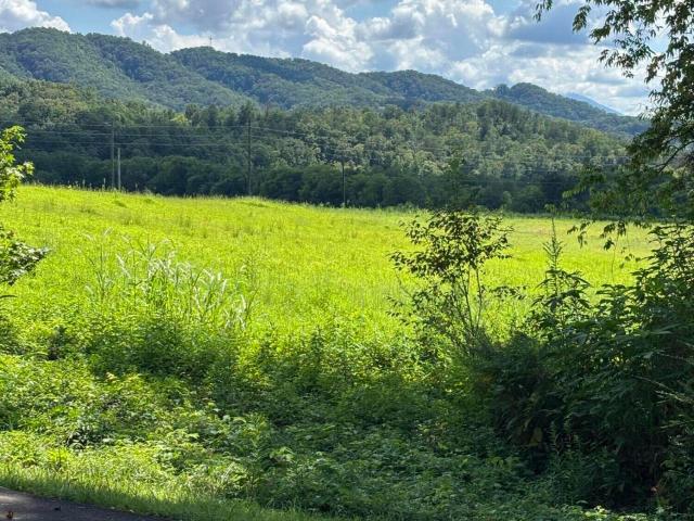 Land for sale in Tennessee