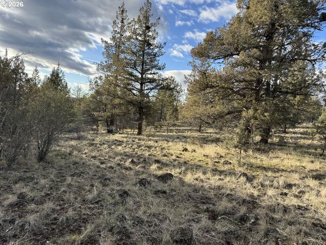 Land for sale in Oregonia