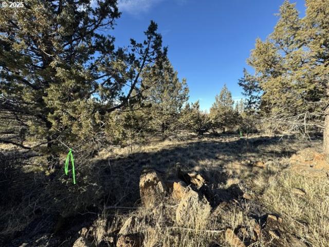 Land for sale in Oregonia