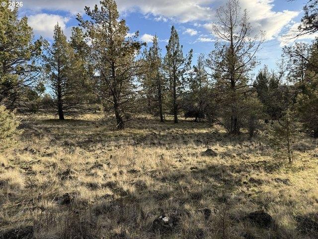 Land for sale in Oregonia
