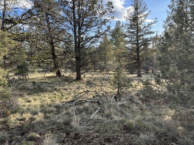 Land for sale in Oregonia