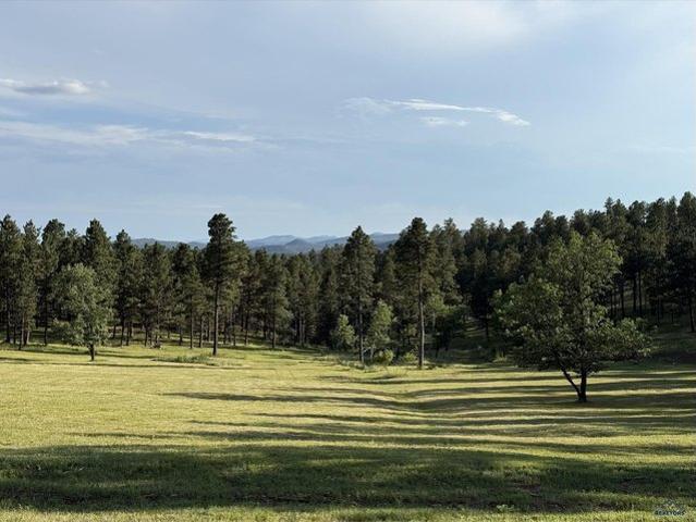 Land for sale in Rapid City, South Dakota
