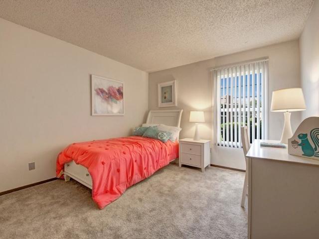 Apartment for rent in Colorado Springs, Colorado