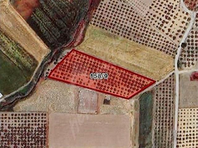 Foça, İzmir içerisinde satılık Arsa