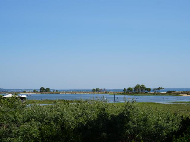 Maison vente à Arcachon, Lège-cap-ferret