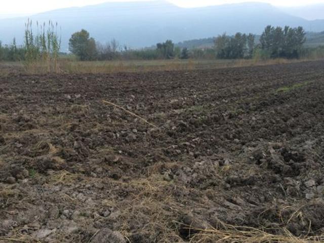 Terreno in vendita a Capaccio, Campania