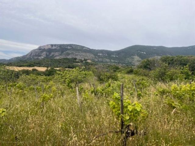Terreno in vendita a Capaccio, Campania