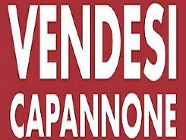 Capannone in vendita a Villanova Di Camposanpiero, Veneto