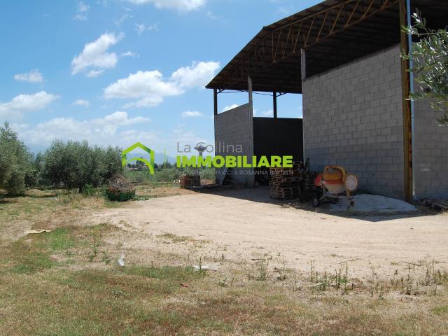 Capannone in affitto a Cisterna Di Latina, Lazio