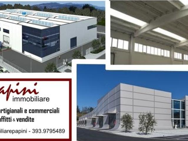 Capannone in vendita a Viareggio, Toscana