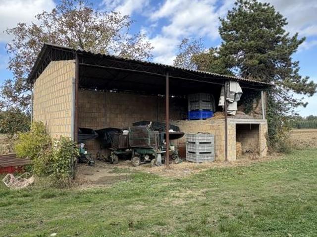 Capannone in affitto a Unione di Comuni della Romagna Forlivese, Quattro