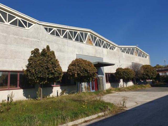 Capannone in affitto a Roma Capitale, Lazio