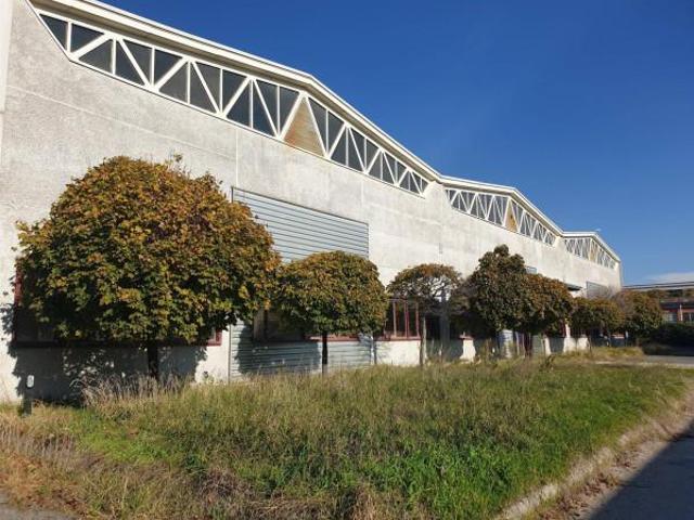 Capannone in affitto a Roma Capitale, Lazio