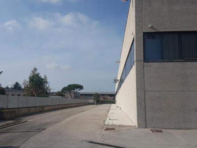 Capannone in affitto a Roma Capitale, Lazio