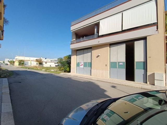 Capannone in affitto a Puglia, Barletta-andria-trani