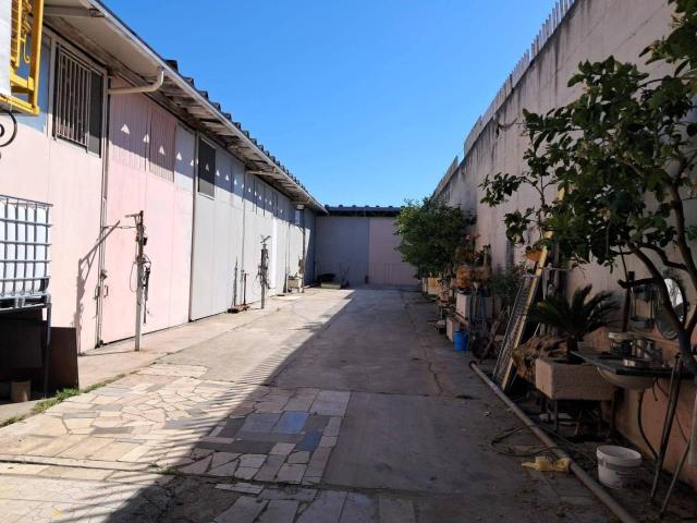 Capannone in affitto a Puglia, Barletta-andria-trani