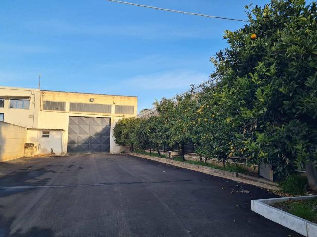 Capannone in affitto a San Valentino, Puglia