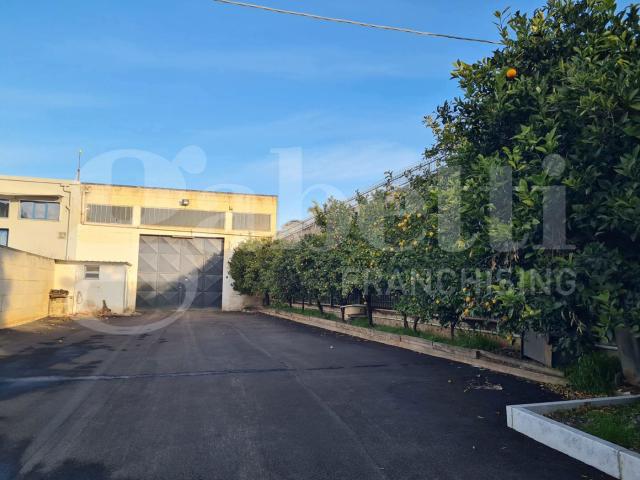 Capannone in affitto a San Valentino, Puglia