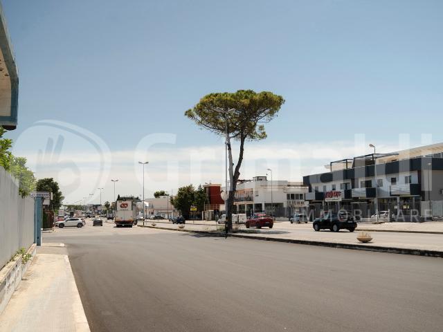 Capannone in affitto a Puglia, Barletta-andria-trani