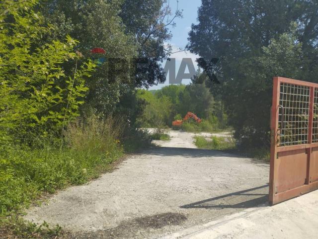 Capannone in affitto a Bolognano, Abruzzo