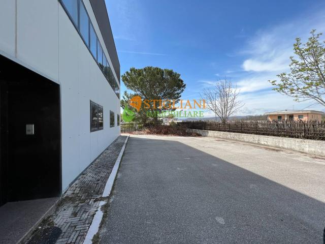 Capannone in affitto a Campobasso, Molise