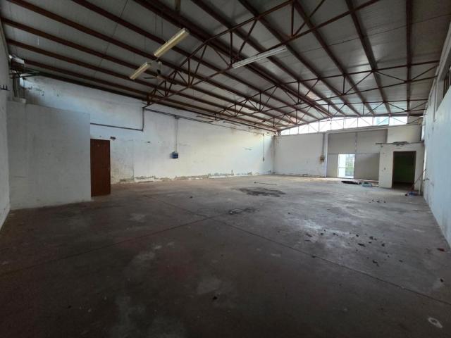 Capannone in affitto a Capannori, Lucca