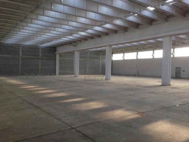 Capannone in affitto a San Quirico, Capannori