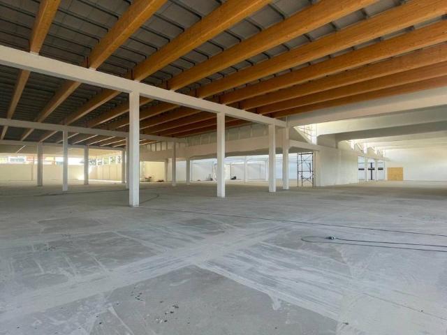 Capannone in affitto a Paganico, Capannori