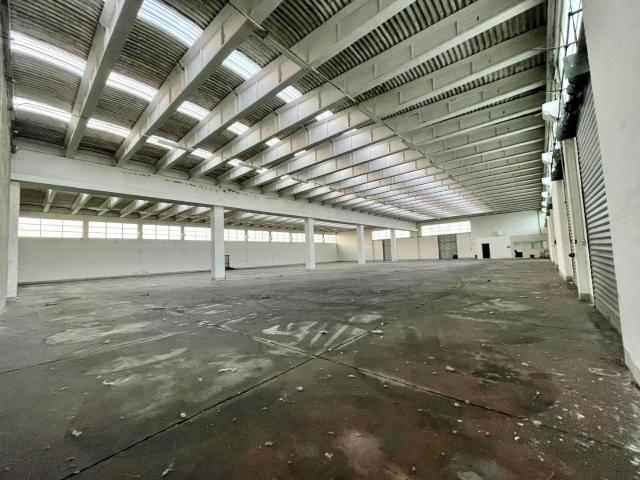 Capannone in affitto a Capannori, Lucca