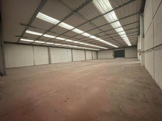 Capannone in affitto a Capannori, Lucca