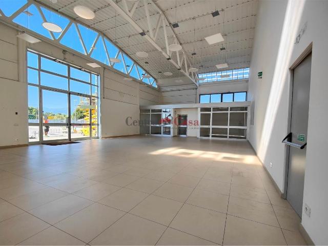 Capannone in affitto a Capannori, Lucca