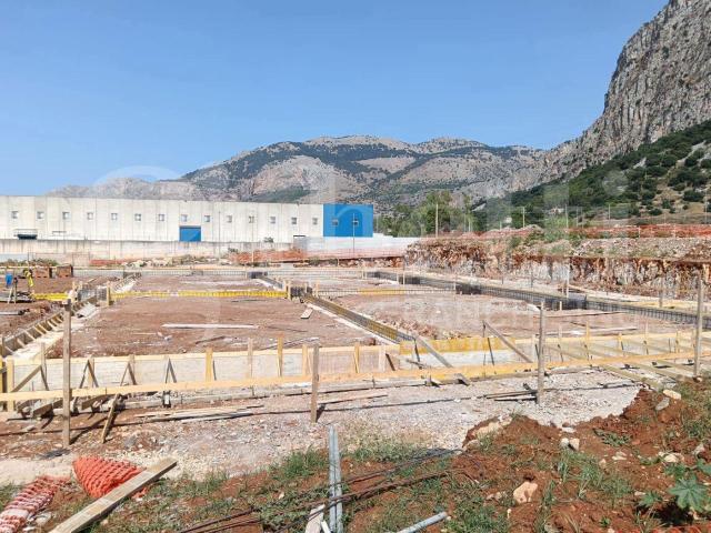 Capannone in affitto a Carini, Palermo