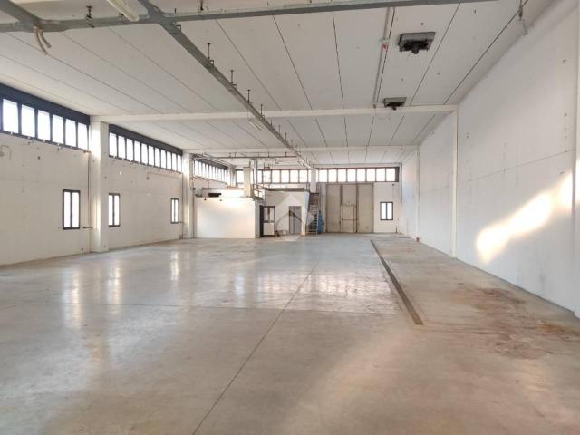Capannone in affitto a Unione delle Terre d'Argine, Carpi