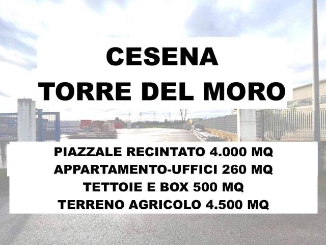 Capannone in affitto a Unione dei comuni Valle del Savio, Cesenà