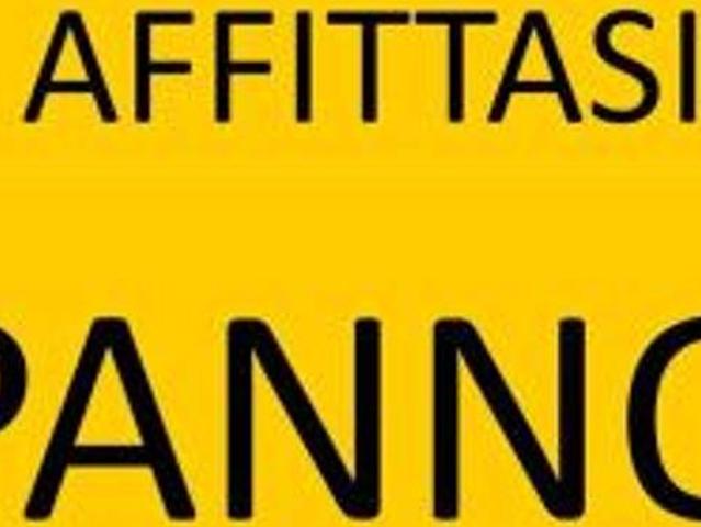 Capannone in affitto a Pozzetto, Cittadella