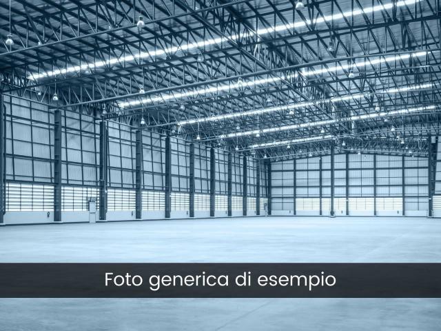 Capannone in affitto a Unione dei Comuni Circondario dell'Empolese Valdelsa, Empoli