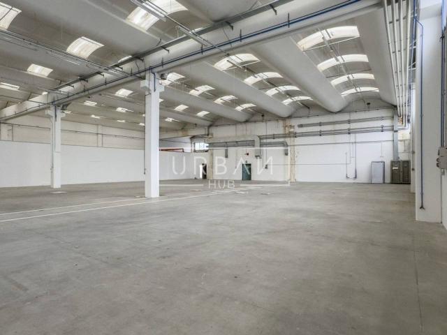 Capannone in affitto a Unione di Comuni della Romagna Forlivese, Quattro