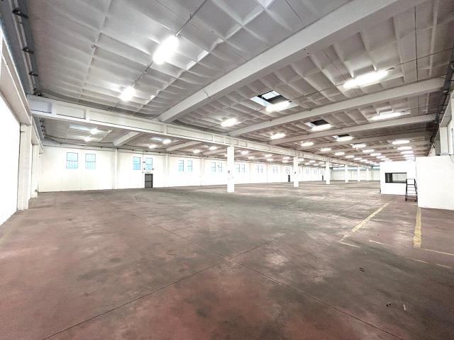 Capannone in affitto a Unione di Comuni della Romagna Forlivese, Quattro