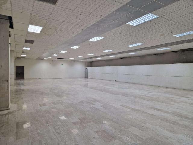 Capannone in affitto a Frosinone, Lazio