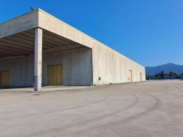 Capannone in affitto a Frosinone, Lazio
