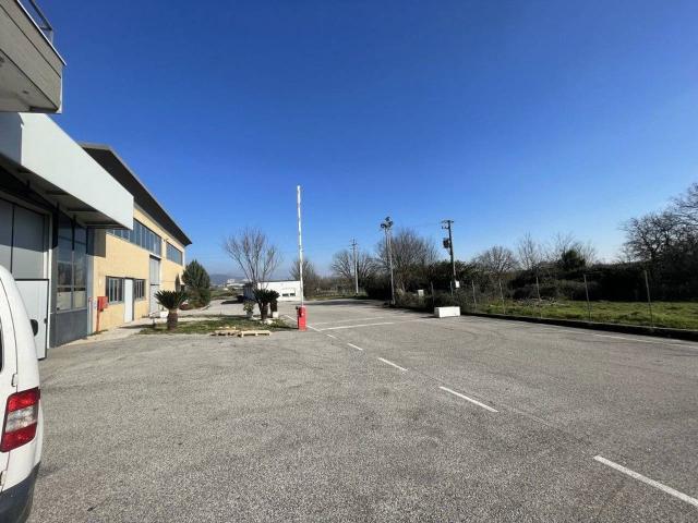 Capannone in affitto a Frosinone, Lazio