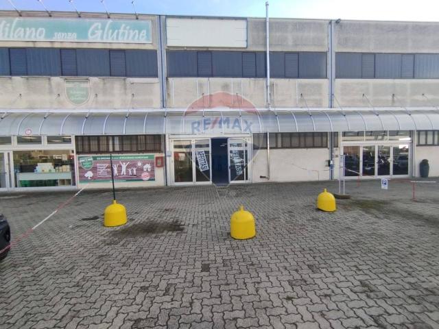 Capannone in affitto a Liscate, Lombardia