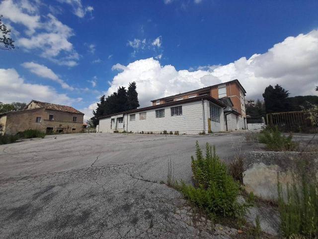 Capannone in affitto a Colleverde, Marche