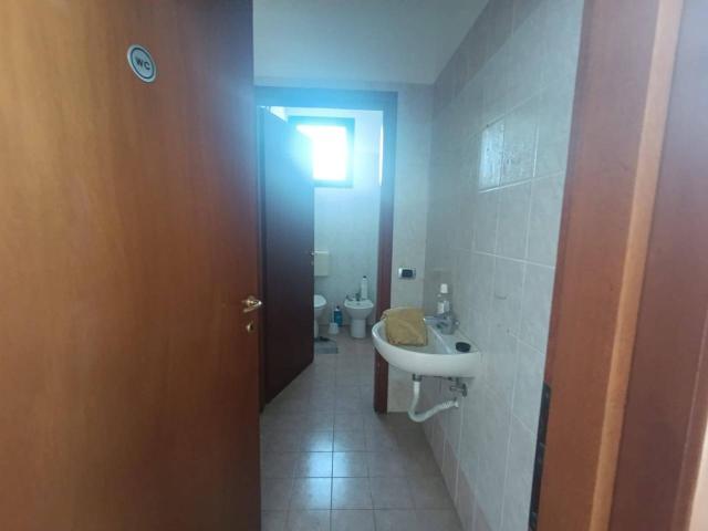 Capannone in affitto a Unione Comuni Modenesi Area Nord, Mirandola