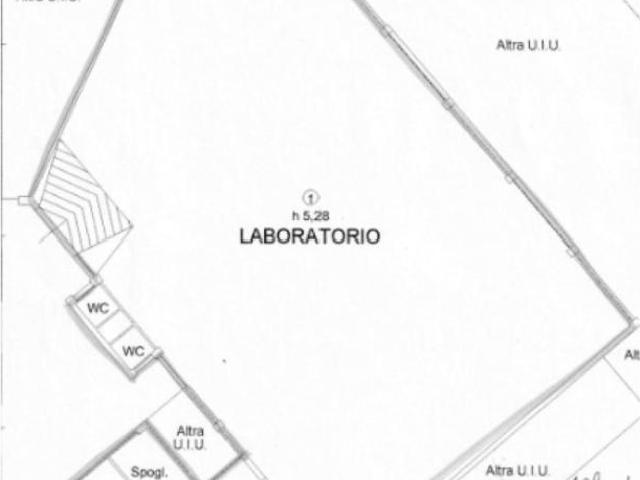 Capannone in affitto a Le Case, Montevettolini