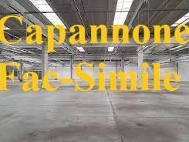 Capannone in affitto a Nusco, Campania